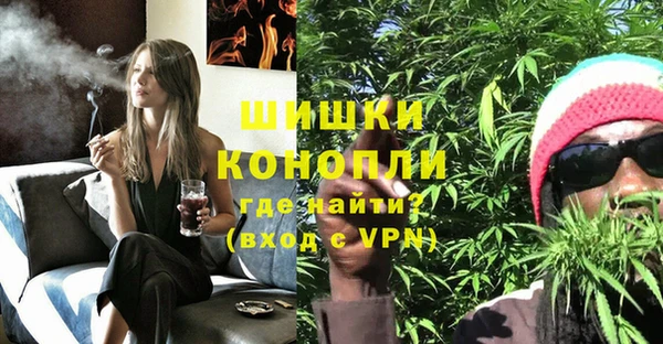 PSILOCYBIN Инсар