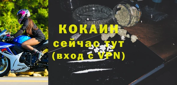 PSILOCYBIN Инсар